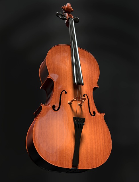 violonchelo