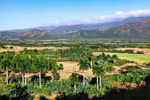 Campo cubano